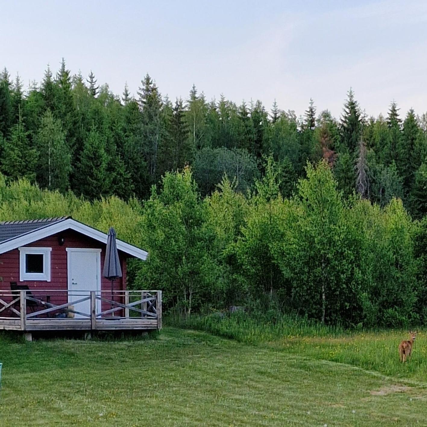 Cosy Private Cottage With Stunning View Sunne Exterior photo